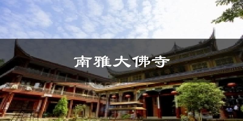 南雅大佛寺天气预报十五天