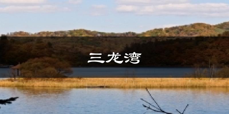 三龙湾今日天气