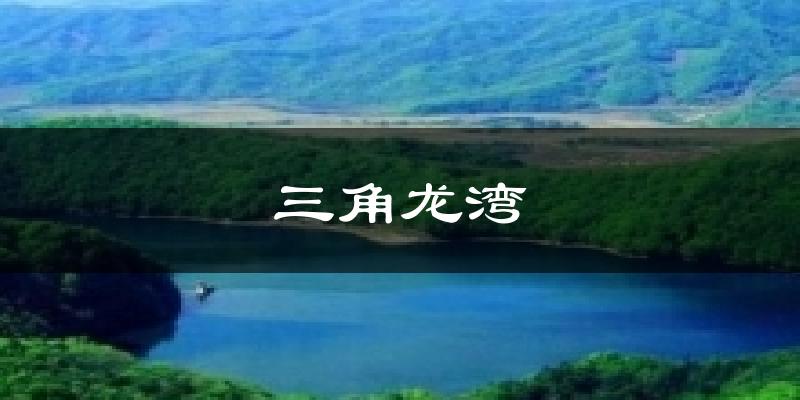 三角龙湾今日天气