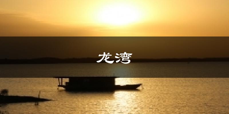 龙湾今日天气