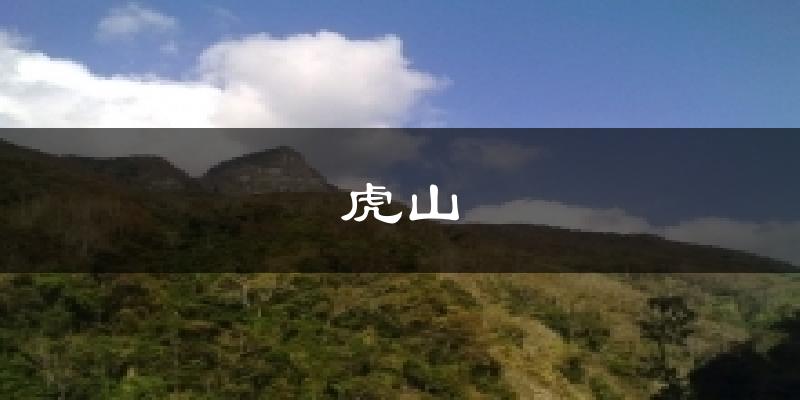 虎山气温