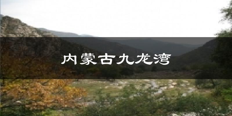 内蒙古九龙湾今日天气