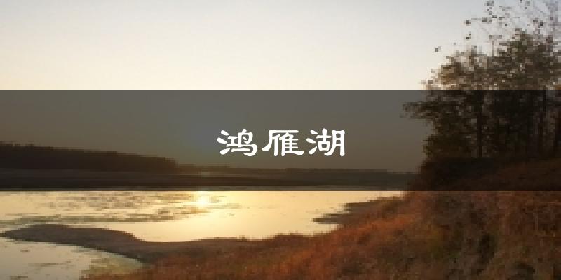 鸿雁湖气温