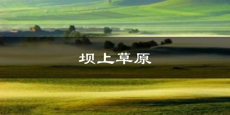 坝上草原气温