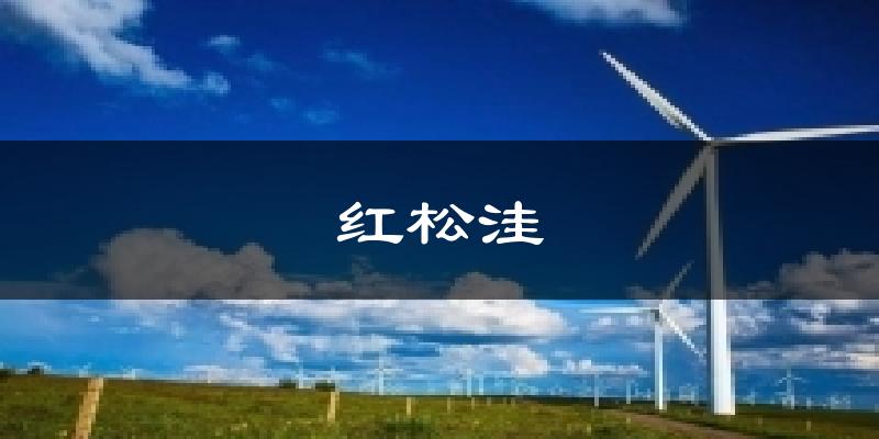 红松洼气温