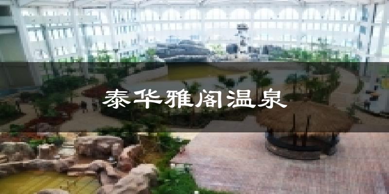 泰华雅阁温泉今日天气