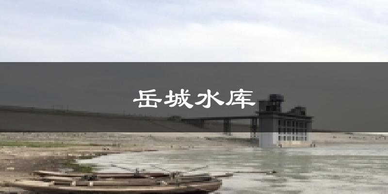 岳城水库今日天气
