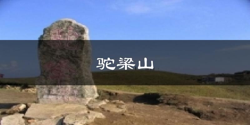 驼梁山今日天气