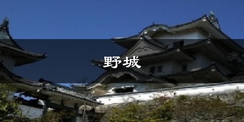 野城气温