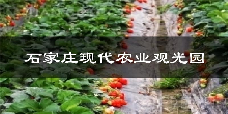 石家庄藁城石家庄现代农业观光园天气预报未来一周