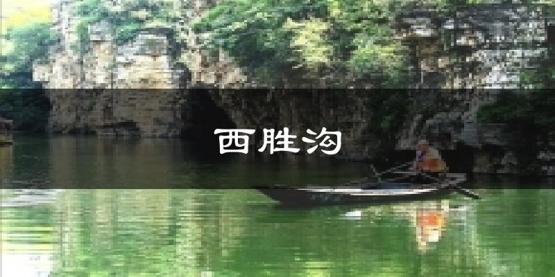 西胜沟今日天气