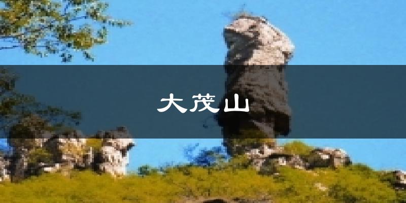 大茂山今日天气