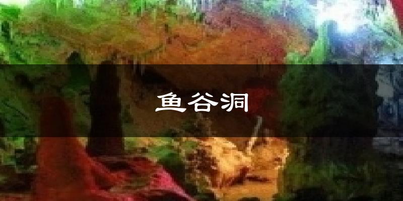 鱼谷洞今日天气
