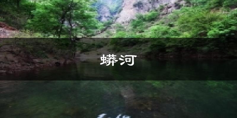 蟒河天气预报十五天