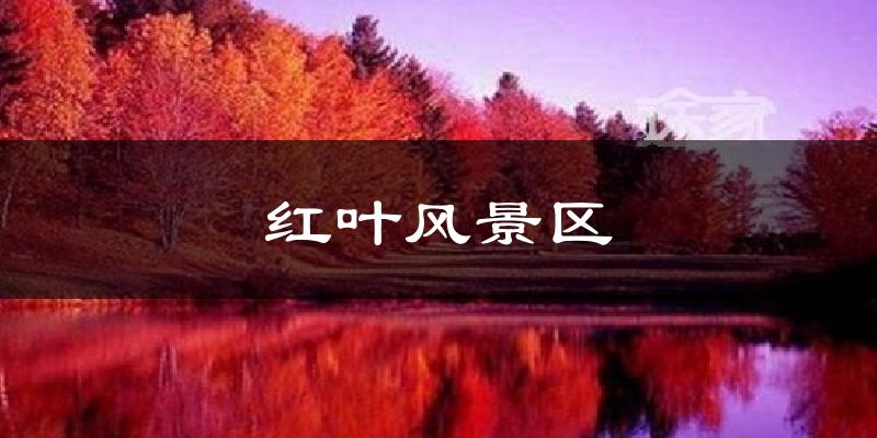 红叶风景区气温