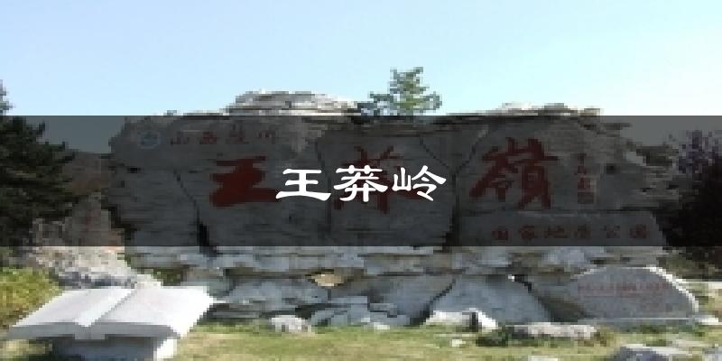 王莽岭气温