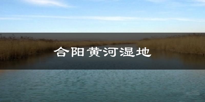 合阳黄河湿地天气预报十五天