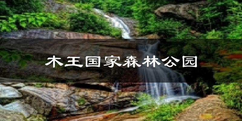 木王国家森林公园气温