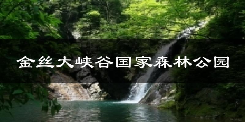 金丝大峡谷国家森林公园气温