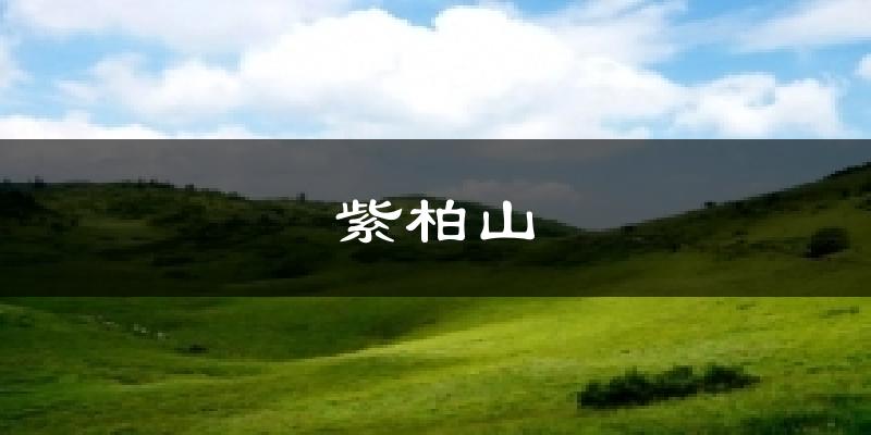 紫柏山天气预报十五天