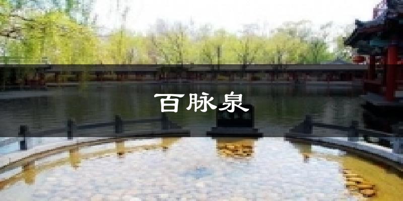 百脉泉今日天气