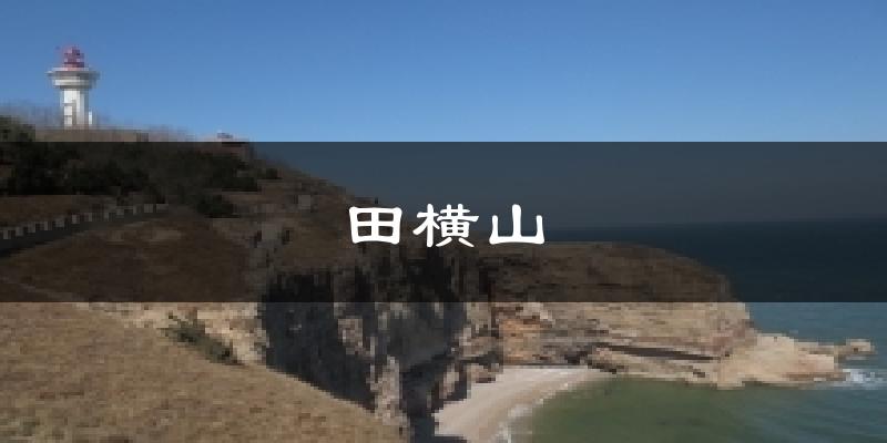 田横山今日天气