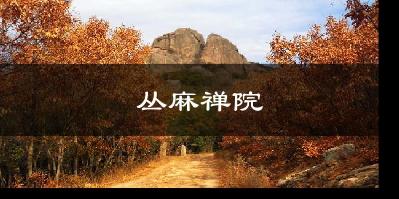 丛麻禅院气温