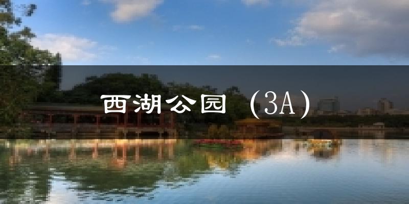 西湖公园（3A）气温