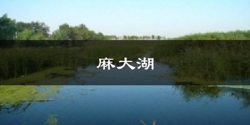 麻大湖今日天气