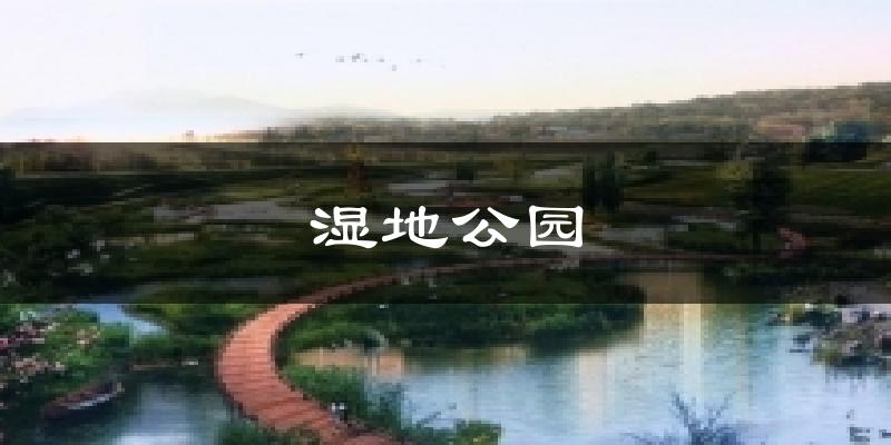 湿地公园今日天气
