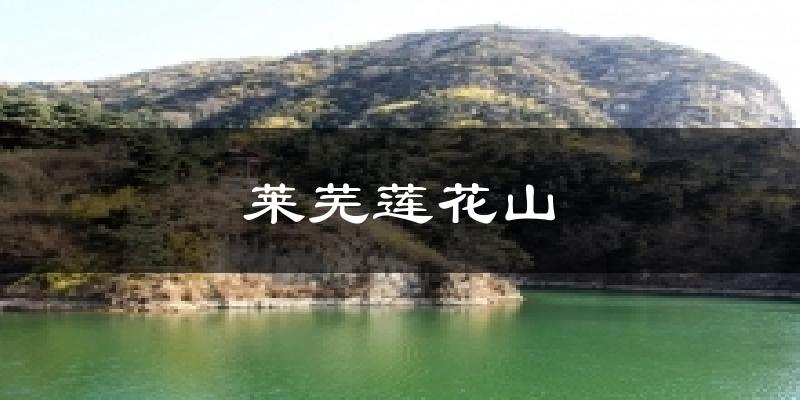 莱芜莲花山今日天气