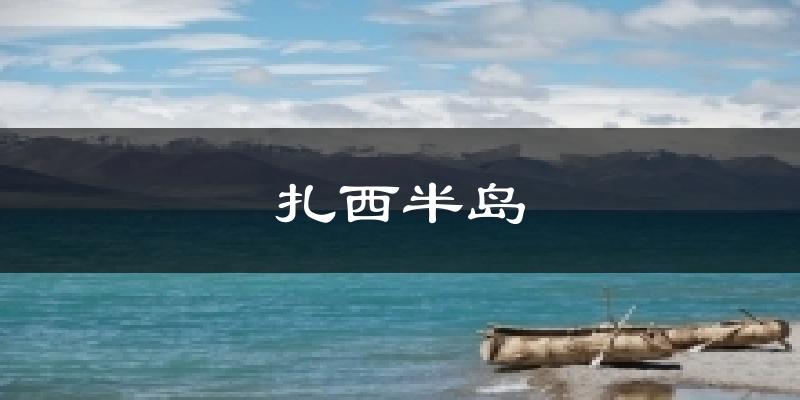 扎西半岛今日天气