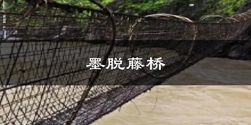 墨脱藤桥气温