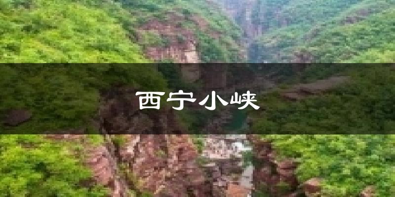 西宁小峡今日天气
