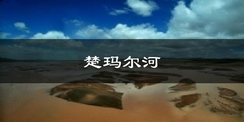 楚玛尔河今日天气