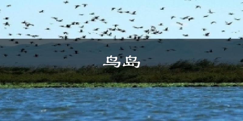 鸟岛今日天气