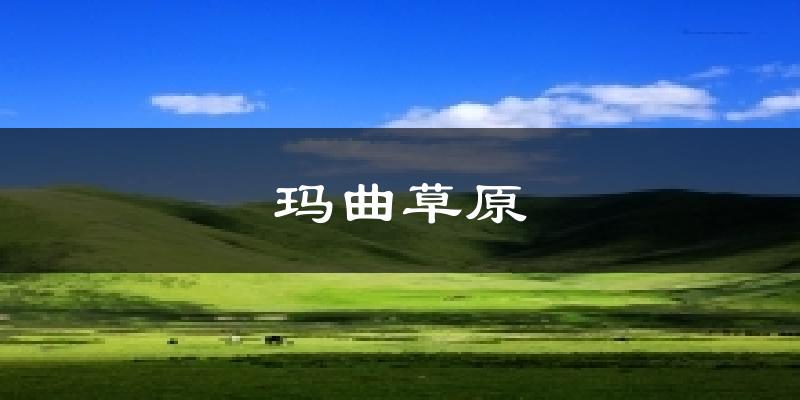 玛曲草原气温