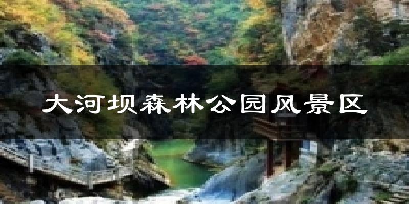 大河坝森林公园风景区气温