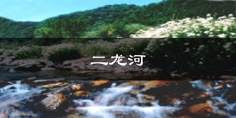 二龙河今日天气