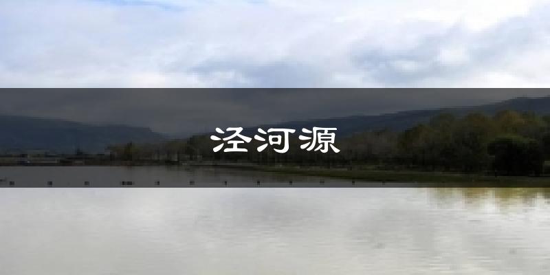 泾河源今日天气