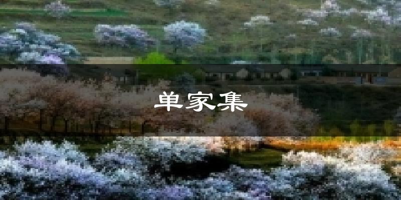 单家集气温