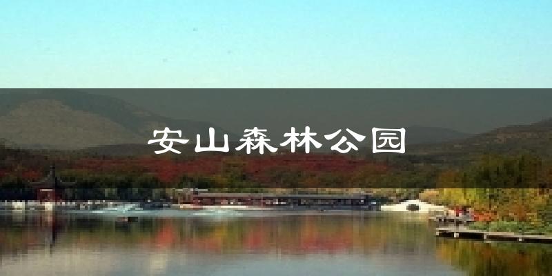 安山森林公园气温