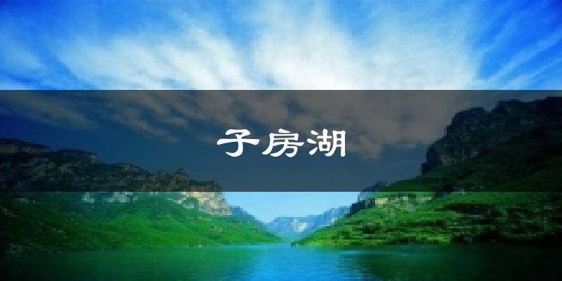 子房湖今日天气