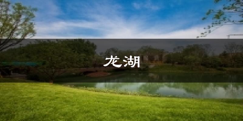龙湖今日天气
