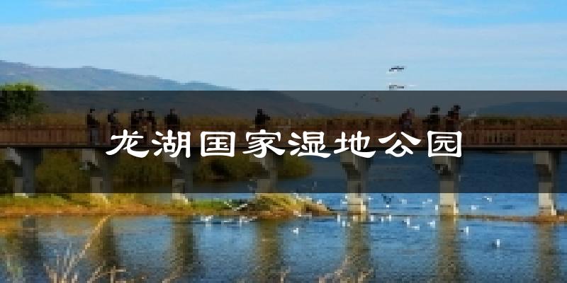 龙湖国家湿地公园今日天气
