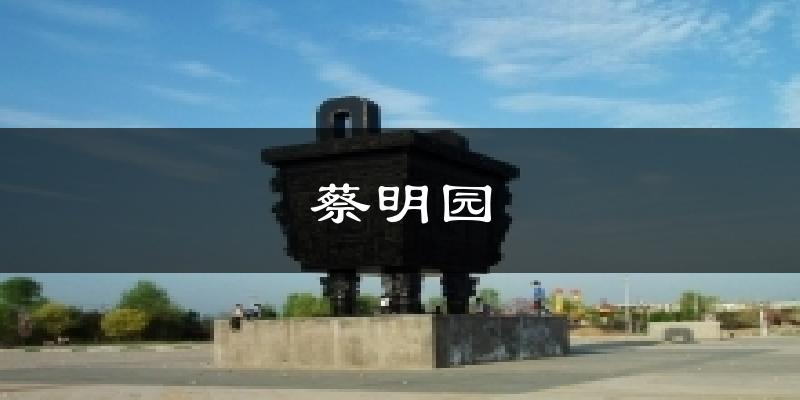 蔡明园今日天气