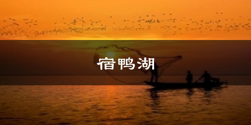 宿鸭湖天气预报十五天