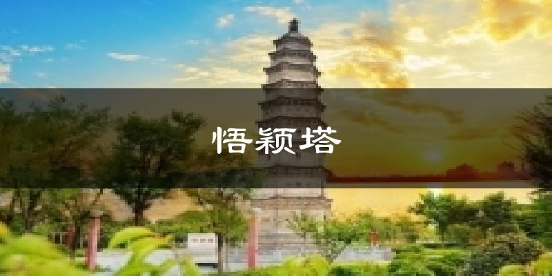 悟颖塔今日天气