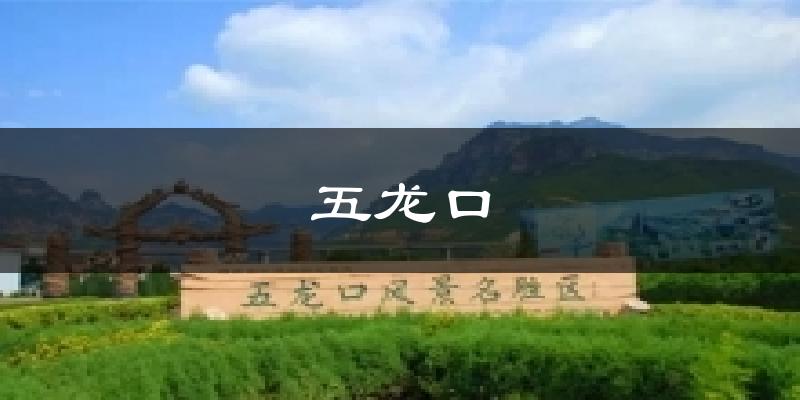 五龙口今日天气