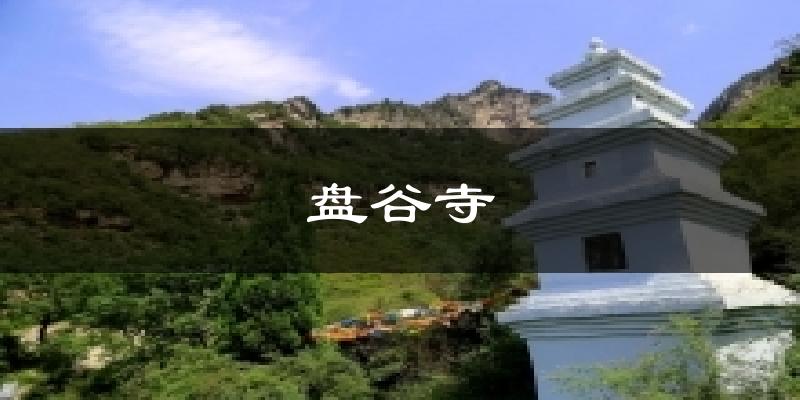 盘谷寺今日天气
